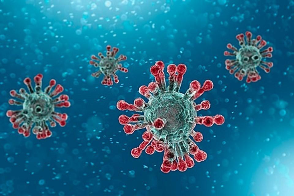 Coronavirus 17.jpg